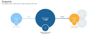 twitter card snapshot report