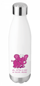 Quirky insulated bottles – 510ml stainless steel - front message on bottle